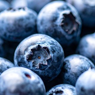 Ekstrakt z żurawiny